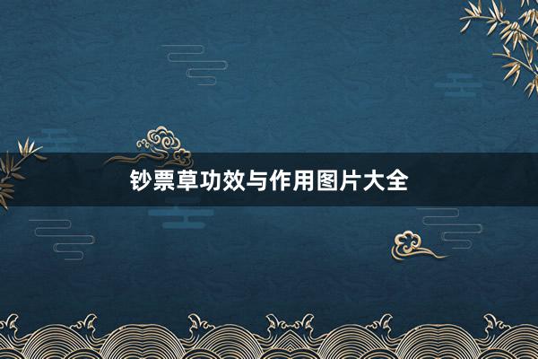 钞票草功效与作用图片大全