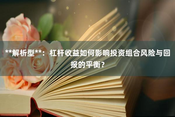 **解析型**：杠杆收益如何影响投资组合风险与回报的平衡？