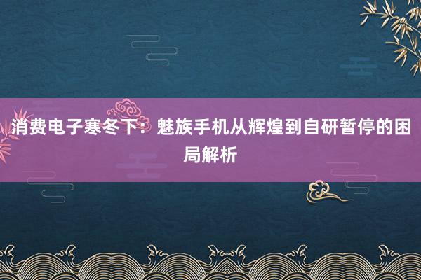 消费电子寒冬下：魅族手机从辉煌到自研暂停的困局解析