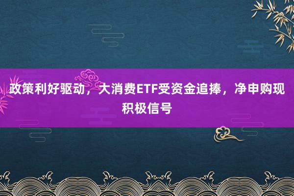 政策利好驱动，大消费ETF受资金追捧，净申购现积极信号