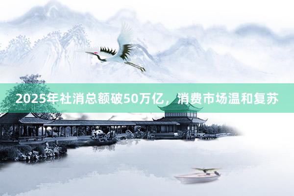 2025年社消总额破50万亿，消费市场温和复苏