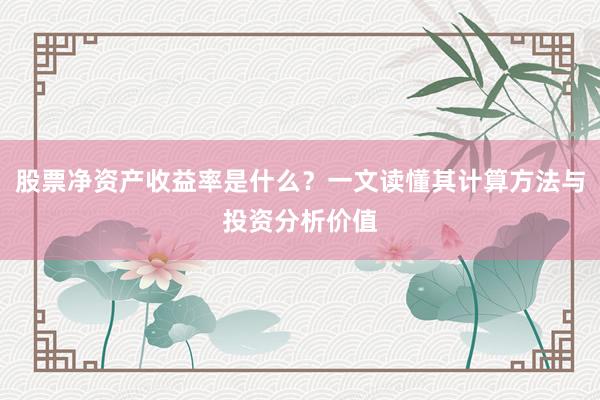 股票净资产收益率是什么?一文读懂其计算方法与投资分析价值