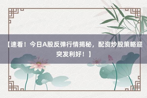 【速看！今日A股反弹行情揭秘，配资炒股策略迎突发利好！】