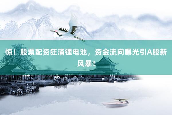 惊！股票配资狂涌锂电池，资金流向曝光引A股新风暴！