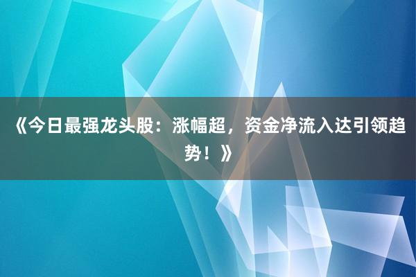 《今日最强龙头股：涨幅超，资金净流入达引领趋势！》