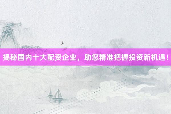 揭秘国内十大配资企业，助您精准把握投资新机遇！