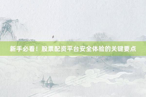 新手必看！股票配资平台安全体验的关键要点
