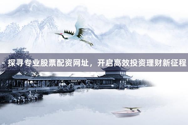- 探寻专业股票配资网址，开启高效投资理财新征程