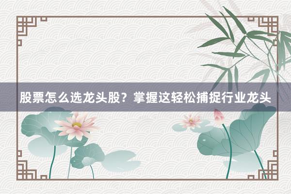 股票怎么选龙头股？掌握这轻松捕捉行业龙头