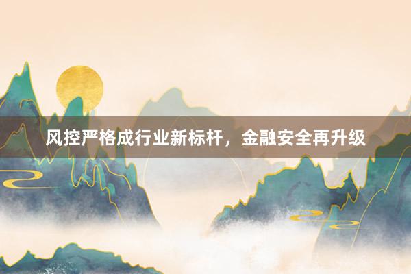 风控严格成行业新标杆，金融安全再升级