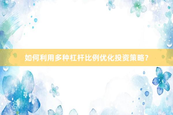 如何利用多种杠杆比例优化投资策略?