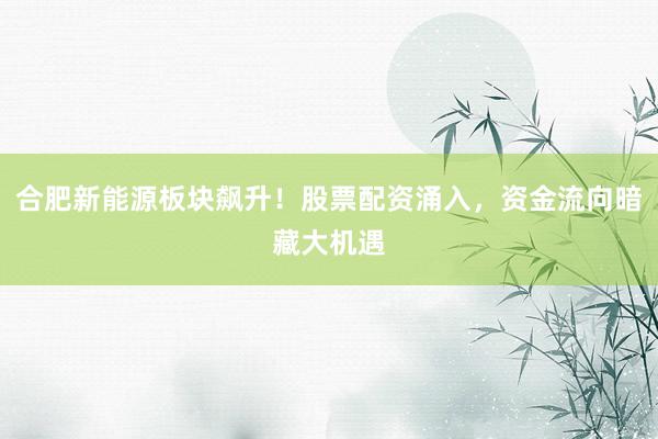 合肥新能源板块飙升！股票配资涌入，资金流向暗藏大机遇